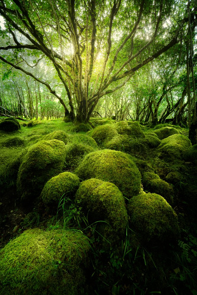 Photograph by Anthony Robin