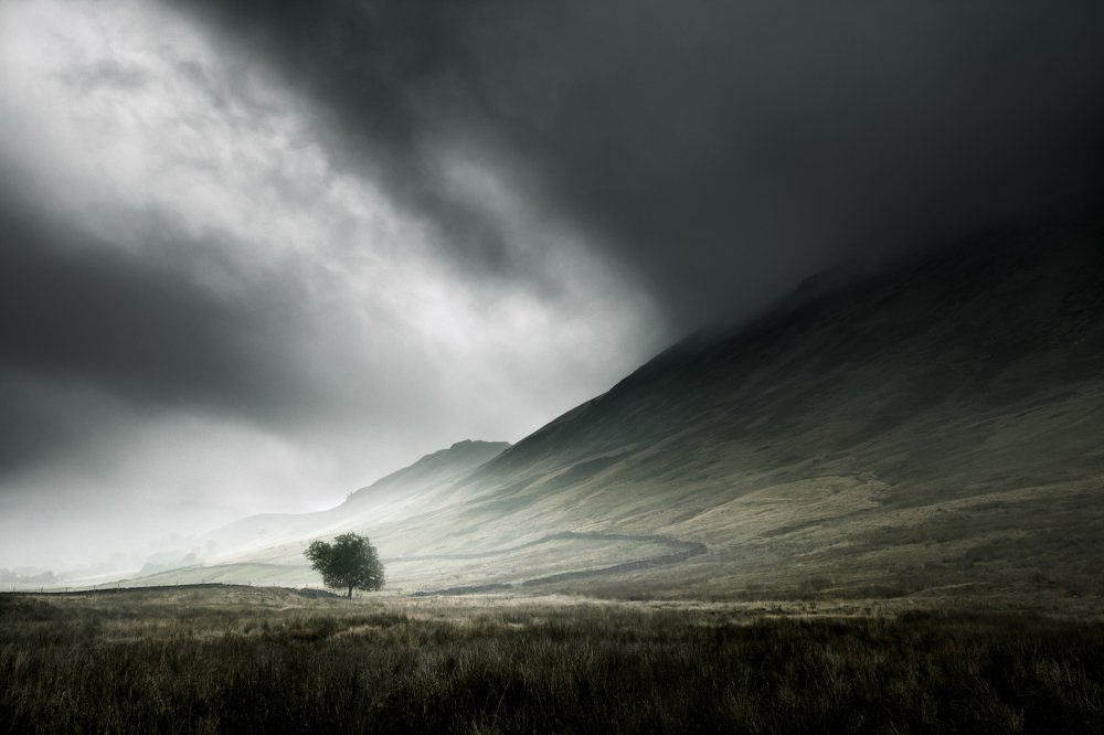 Photograph by Anthony Robin