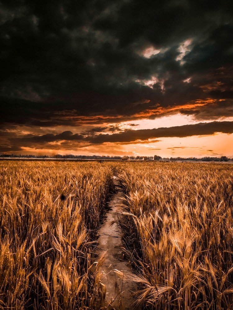 Photograph by Taimur Mengal