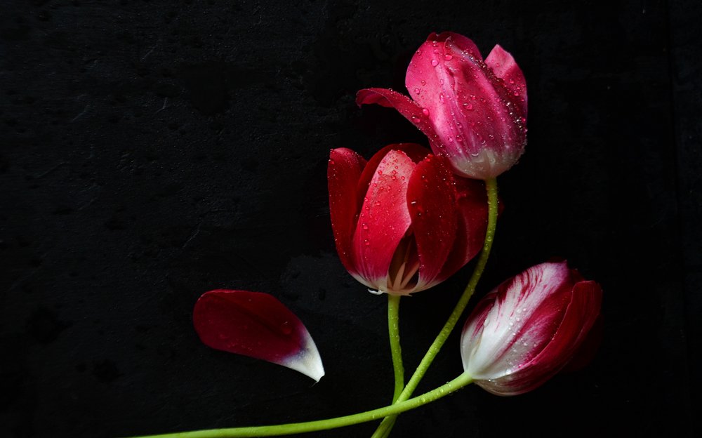 Photograph by Наталия Иванова