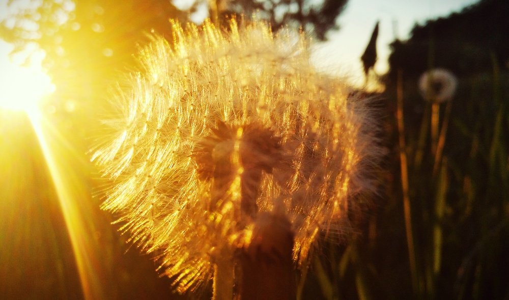 Photograph by Елена Абрамова