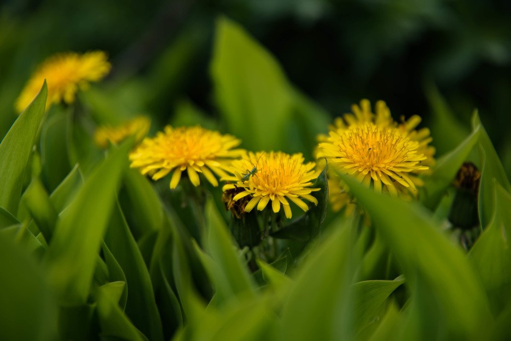 Photograph by Елена Прохорова