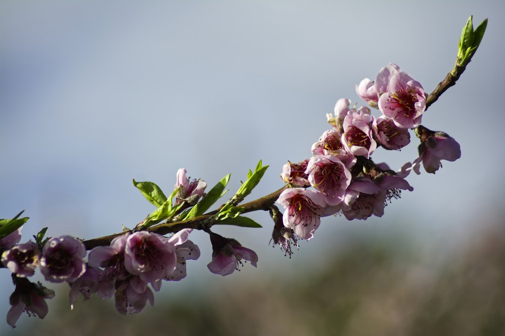 Photograph by Renatas Lileikis