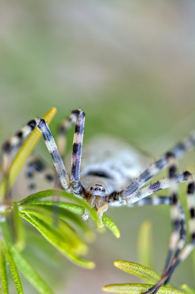 Photograph by Renatas Lileikis