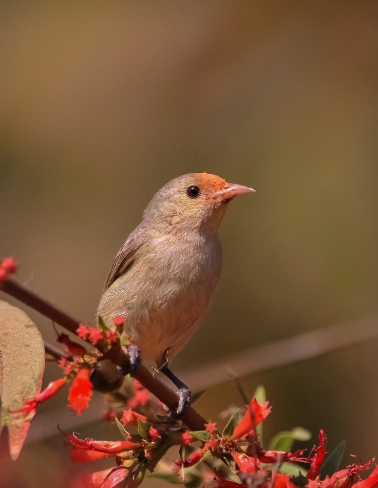 Photograph by Kapil Varsale