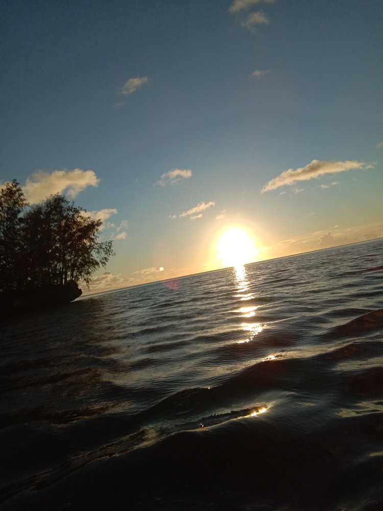 Photo #4612047