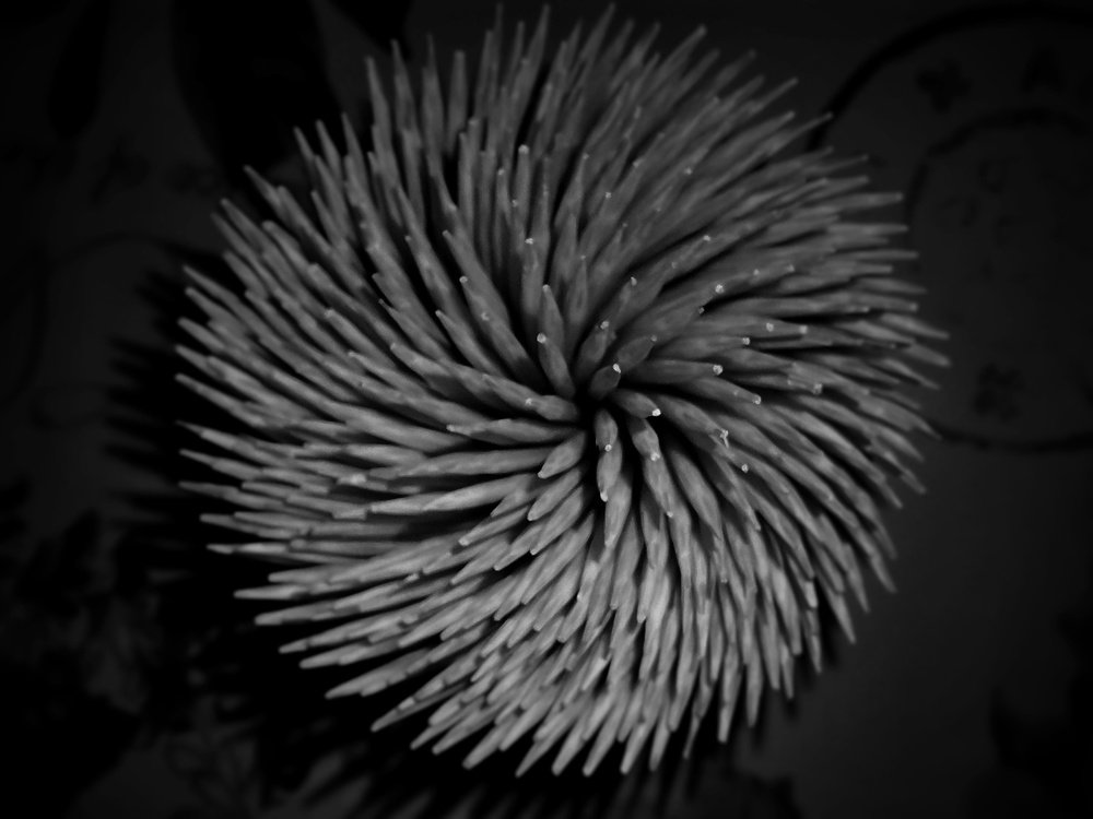 Photograph by Оксана Маракушина