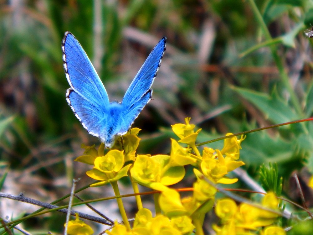 Photograph by Артур Хороший