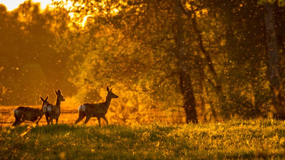 Photograph by Артем