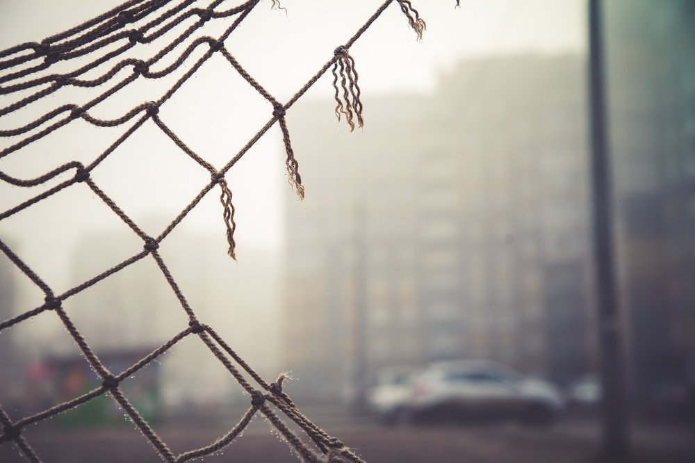 Photograph by Владимир Головин