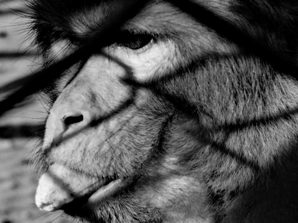 Photograph by Musab Malik