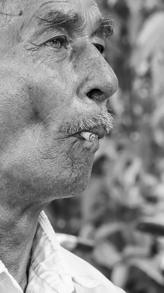 Фотография автора SHIBNATH DAS