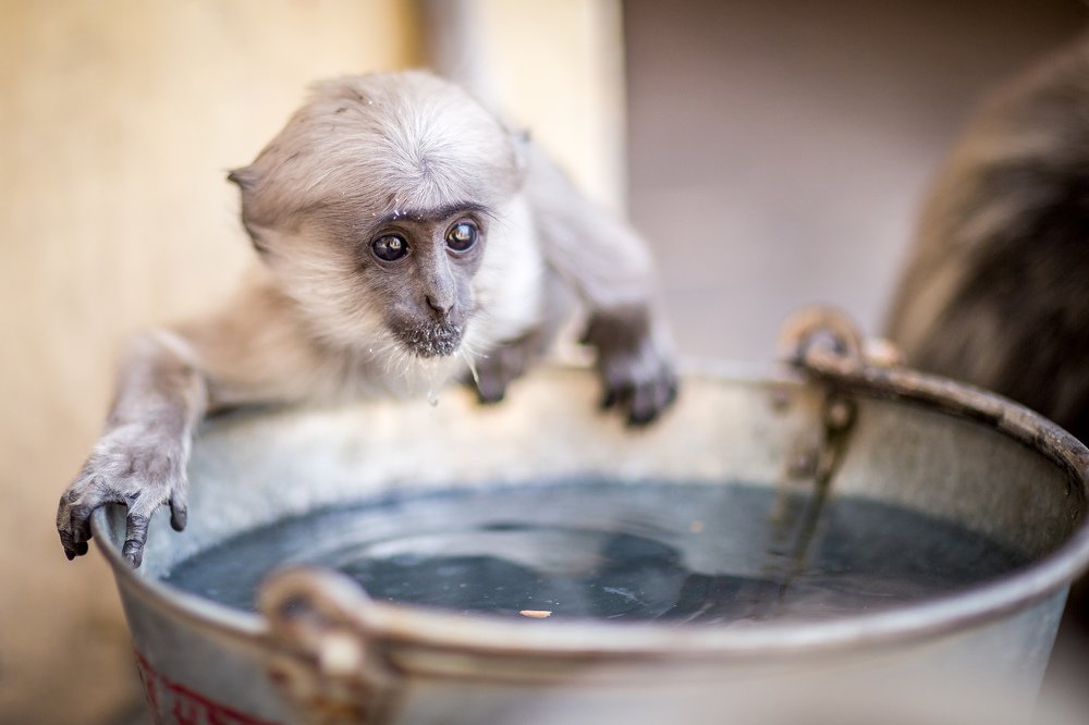 Photograph by Евгений