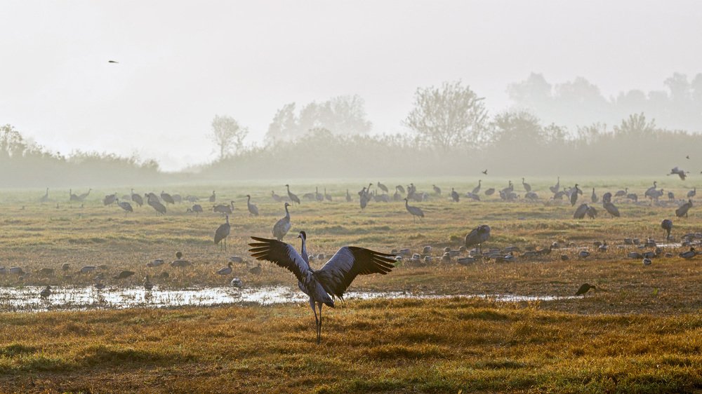 Фотография автора Сергей Середовой
