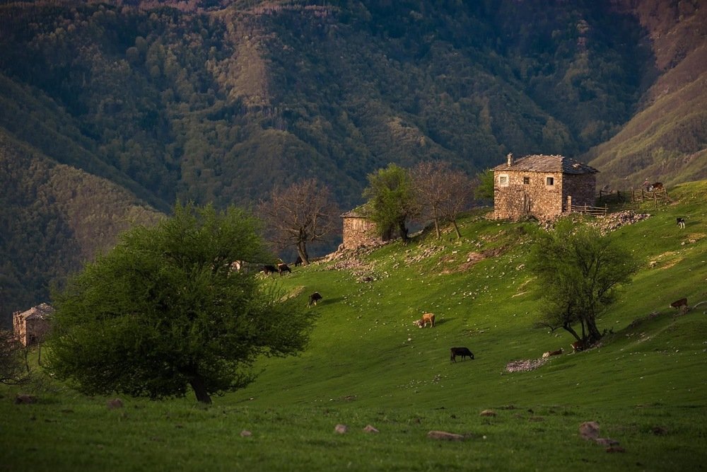 Photograph by Димитър Митрев