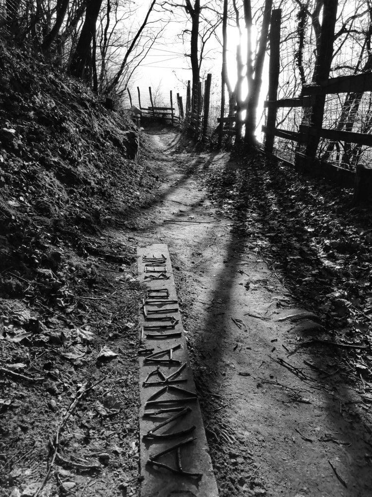 Photograph by Nikolett Zimmerer