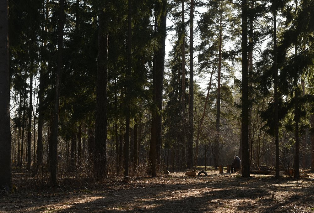 Photograph by Анастасия