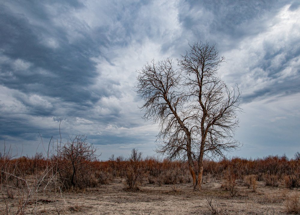 Вне времени