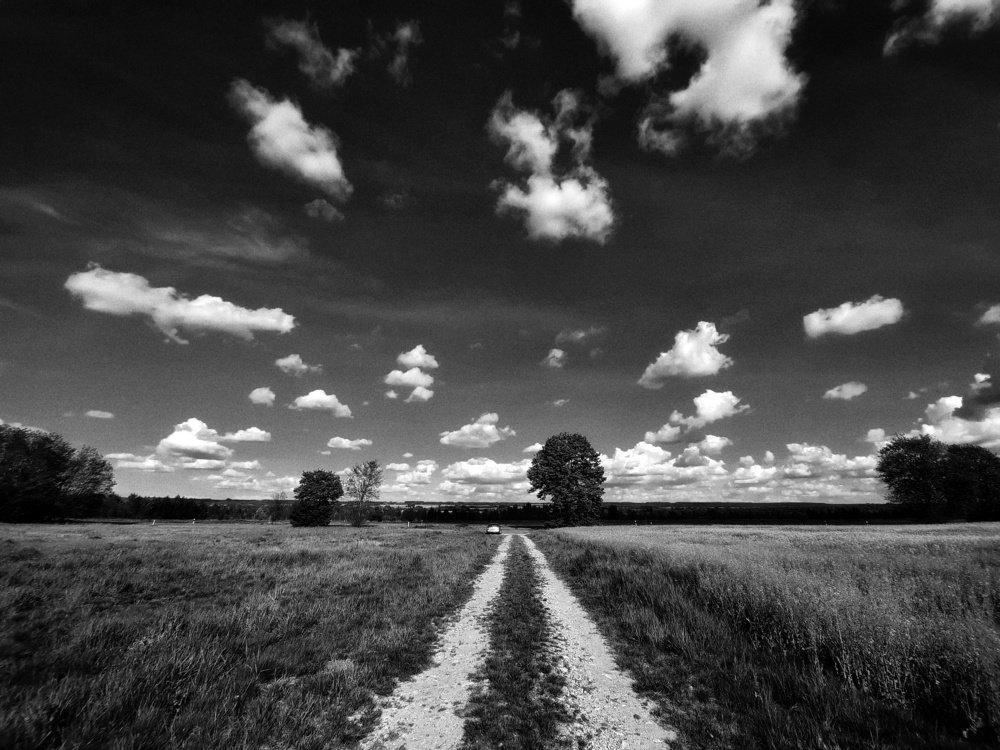 Photograph by Nikolett Zimmerer