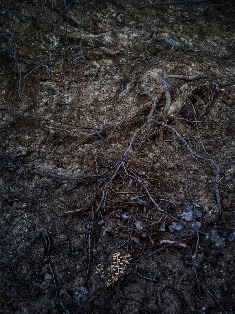 Photograph by Esmaeil kheiry Sakozhiar