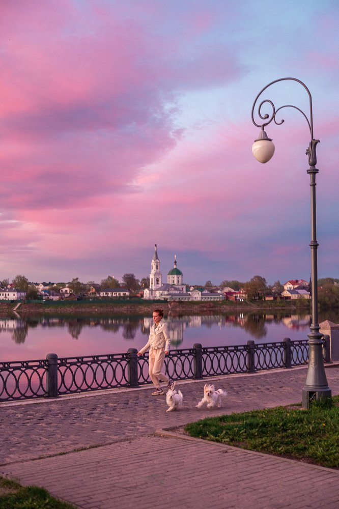 Дама с собачками