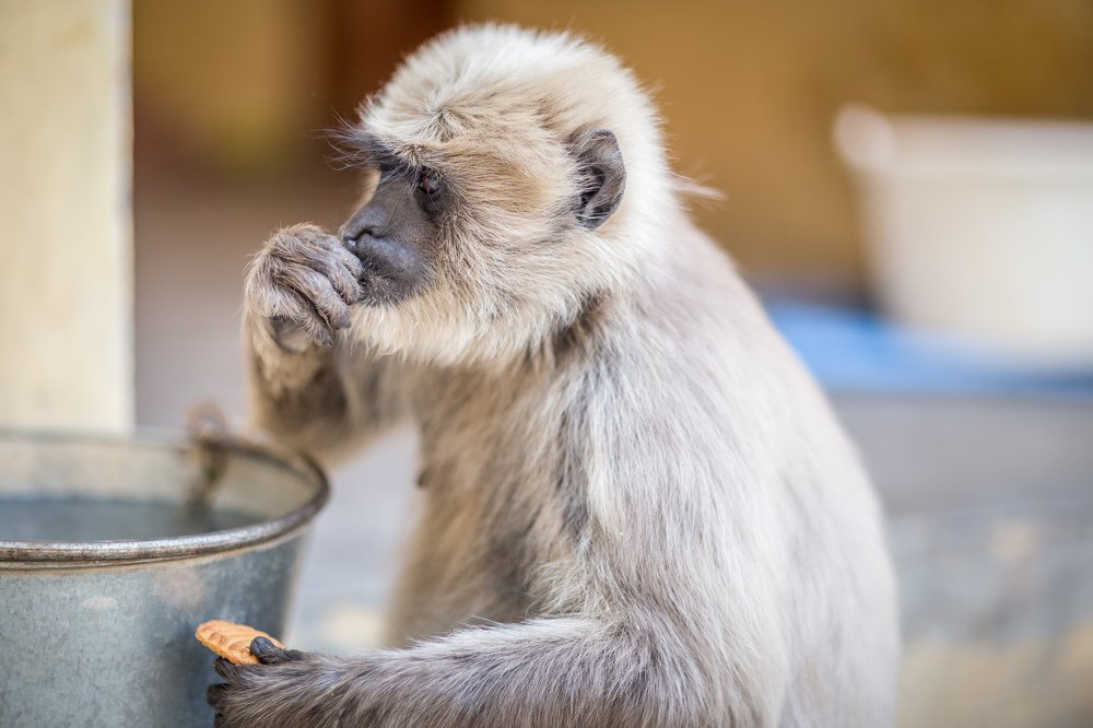 Мочить или не мочить, вот в чём вопрос!