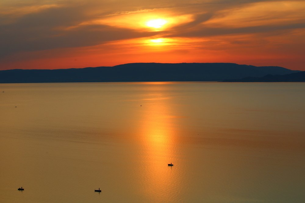 Photograph by Nikolett Zimmerer