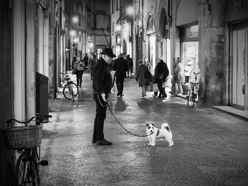 Photograph by Владислав