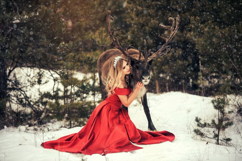 Photograph by Максим Шинкаренко