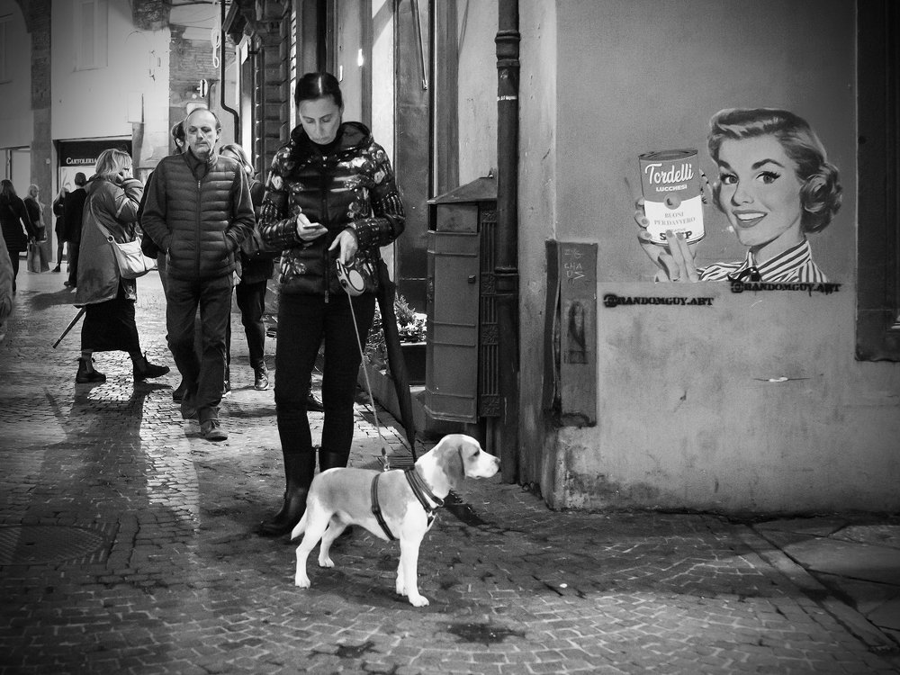 Photograph by Владислав