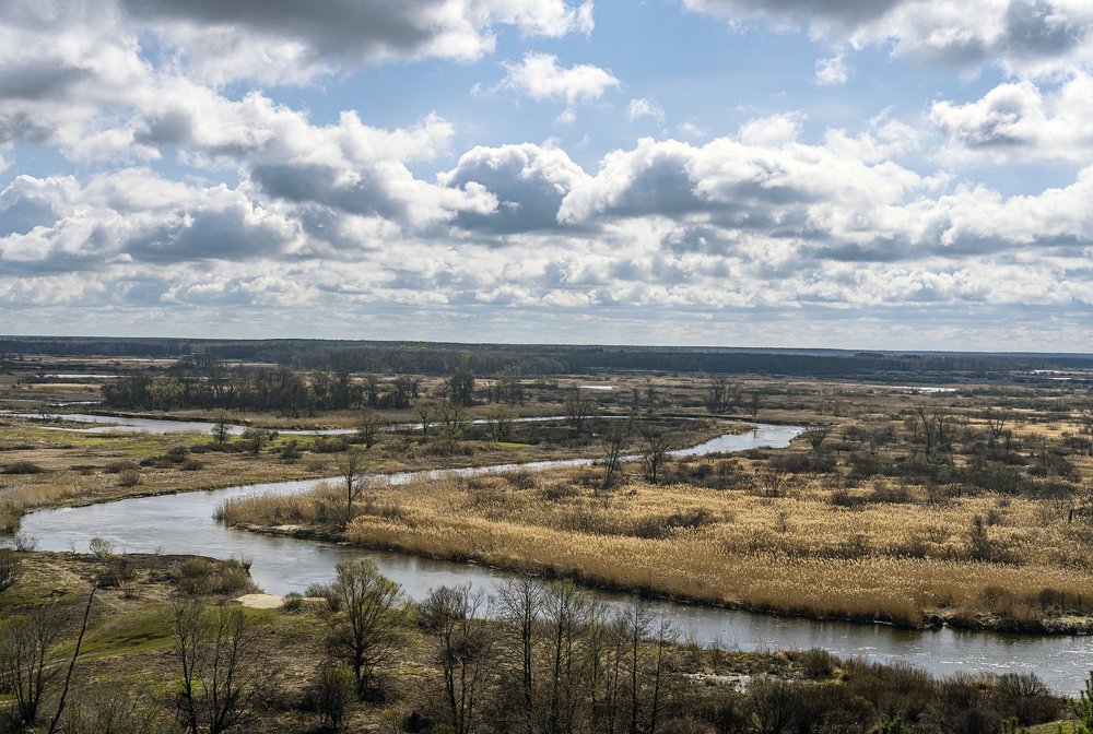 Photograph by Андрей Ляпин