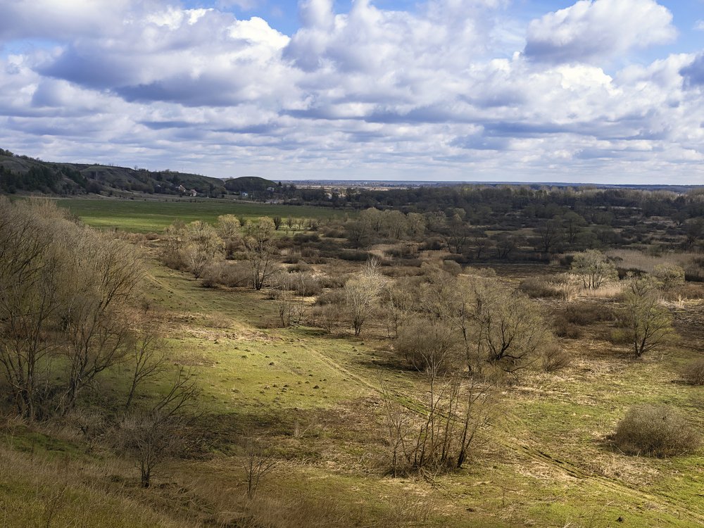 Photograph by Андрей Ляпин