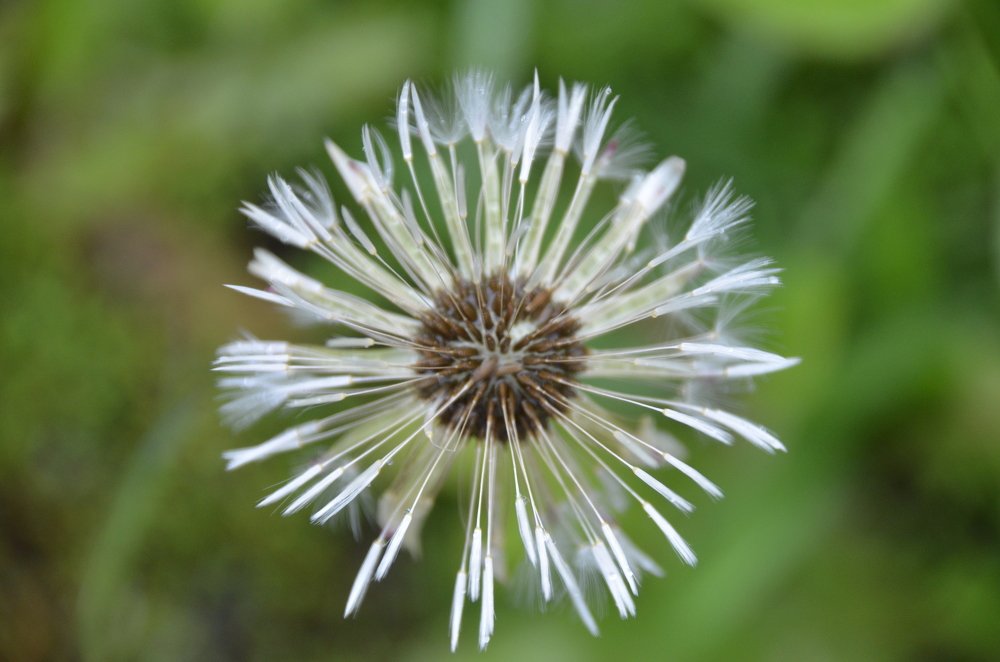 Photograph by Игорь Назаров