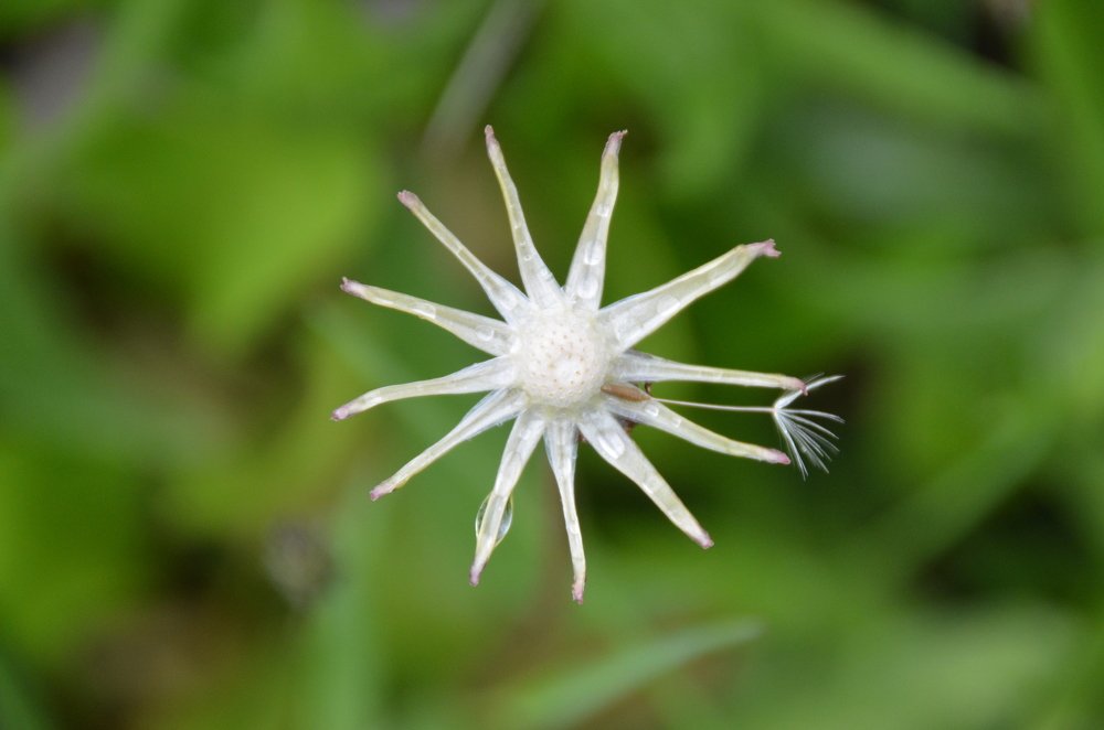 Photograph by Игорь Назаров