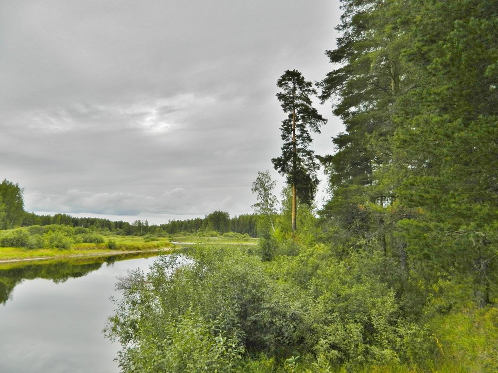 Photograph by Вячеслав Розмин