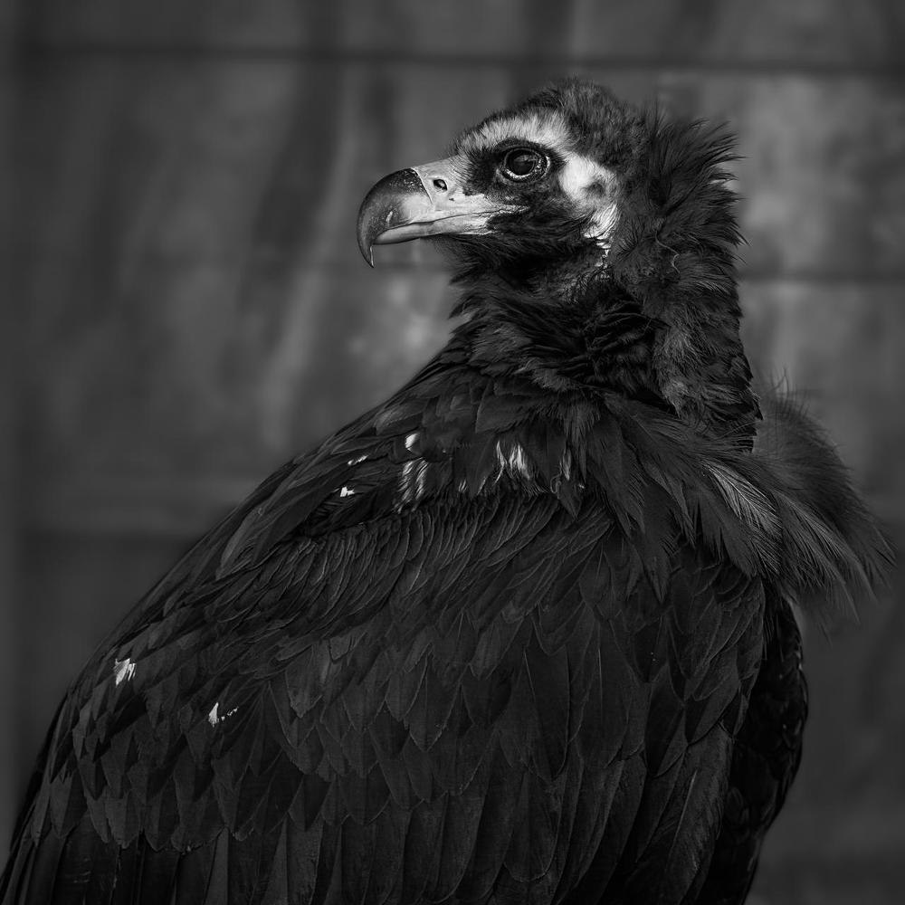 Photograph by Полина Хрол