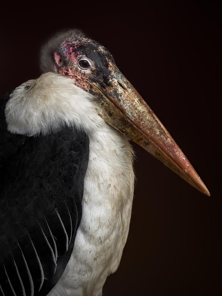 Photograph by Полина Хрол