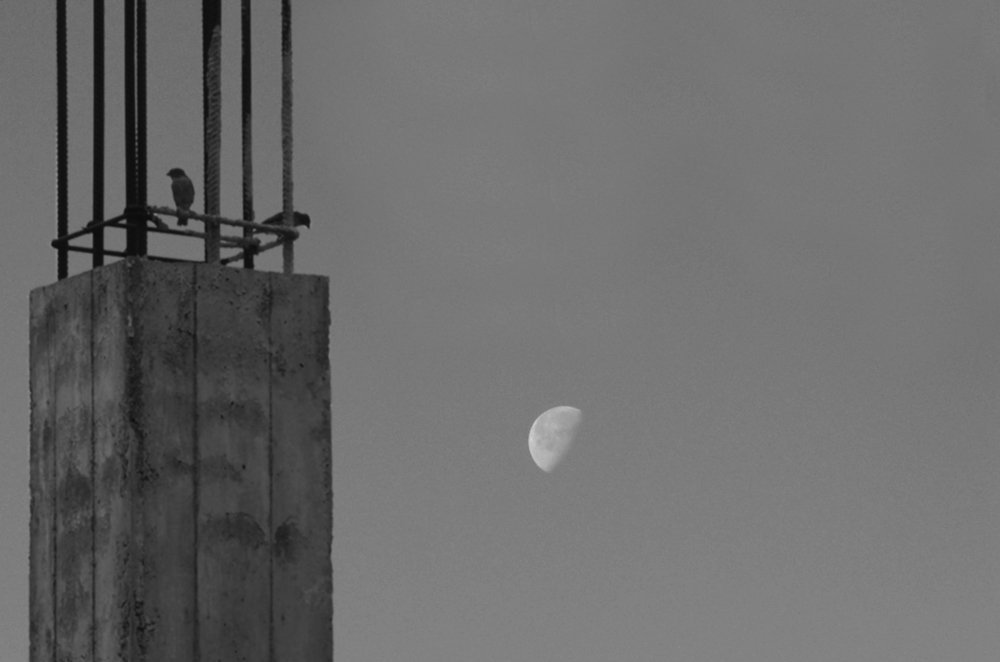 Photograph by Paria Tofangsaz