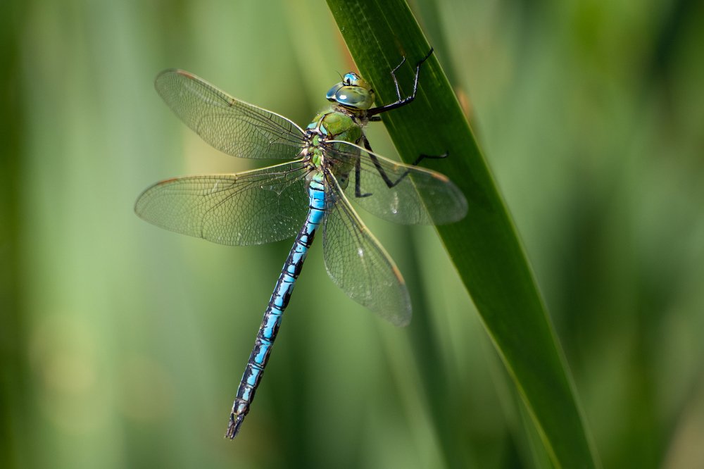 Фотография автора Christina Draper