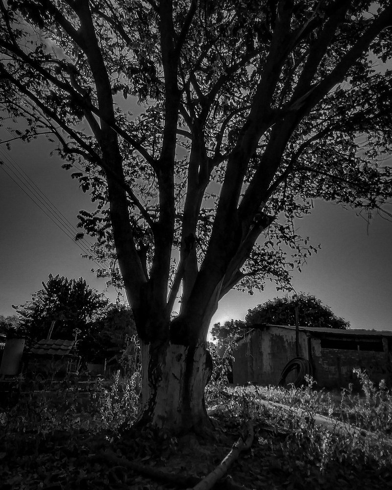 Photograph by Sebastián Sanjines
