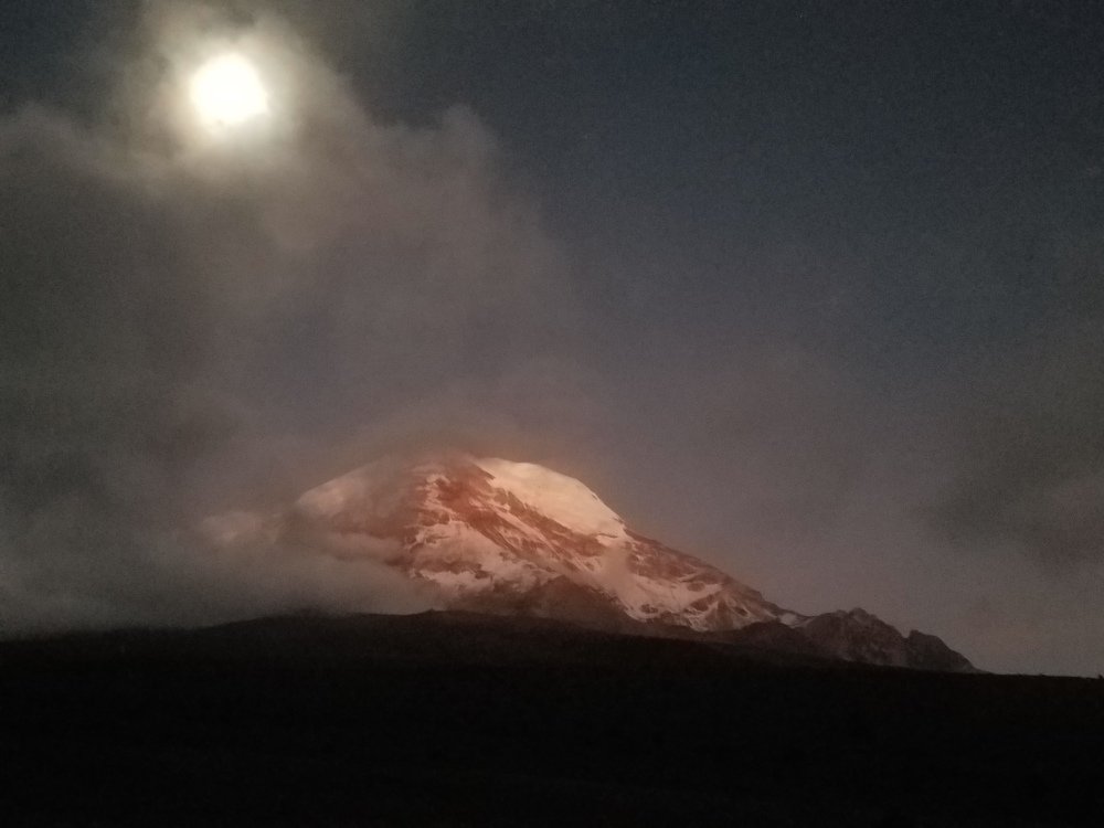 Photo #4613368