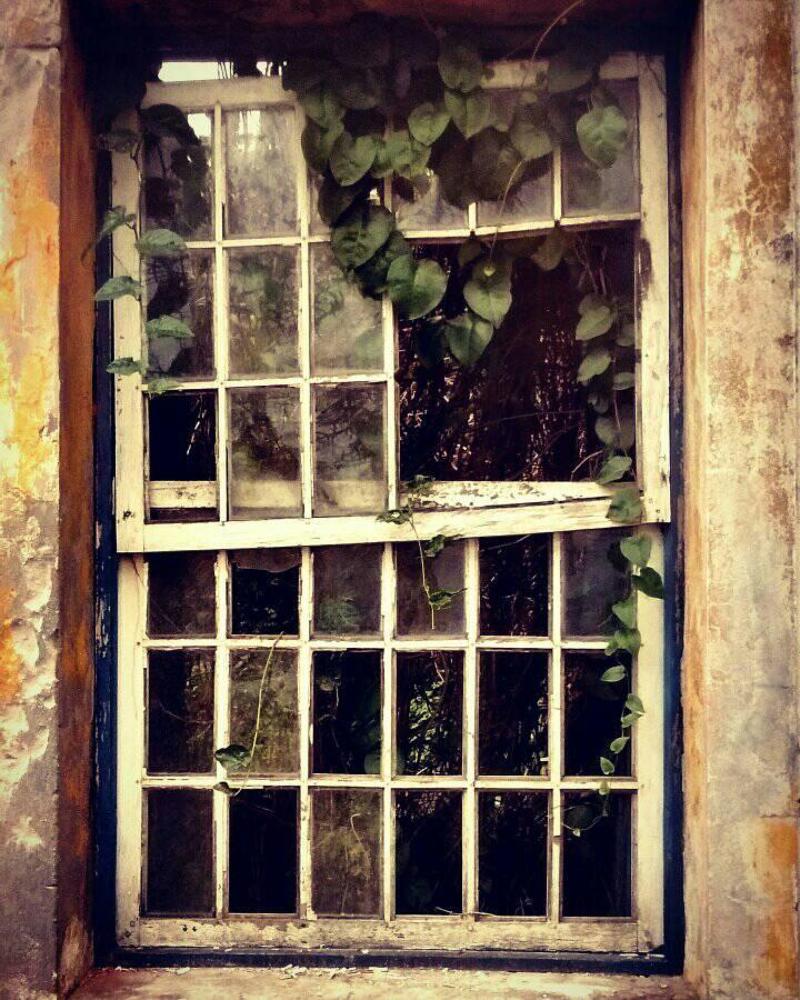 Photograph by Paulo Maia Butture