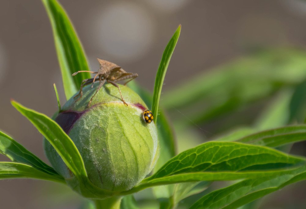 Photograph by Елена Прохорова
