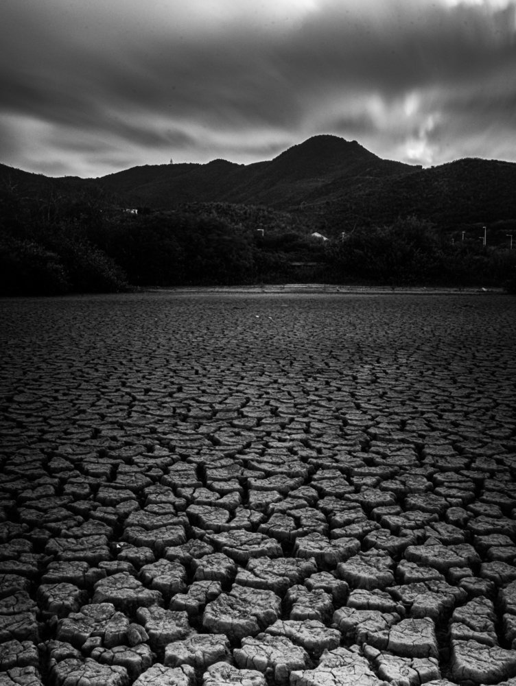 Photograph by Naghi Mircea