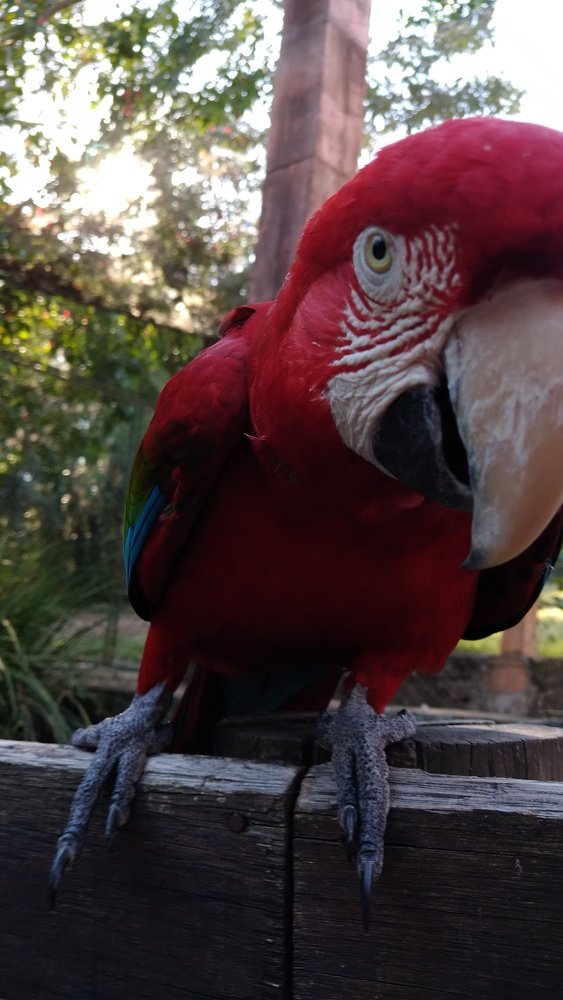 Photograph by Dioni Peterson Rupollo Silva