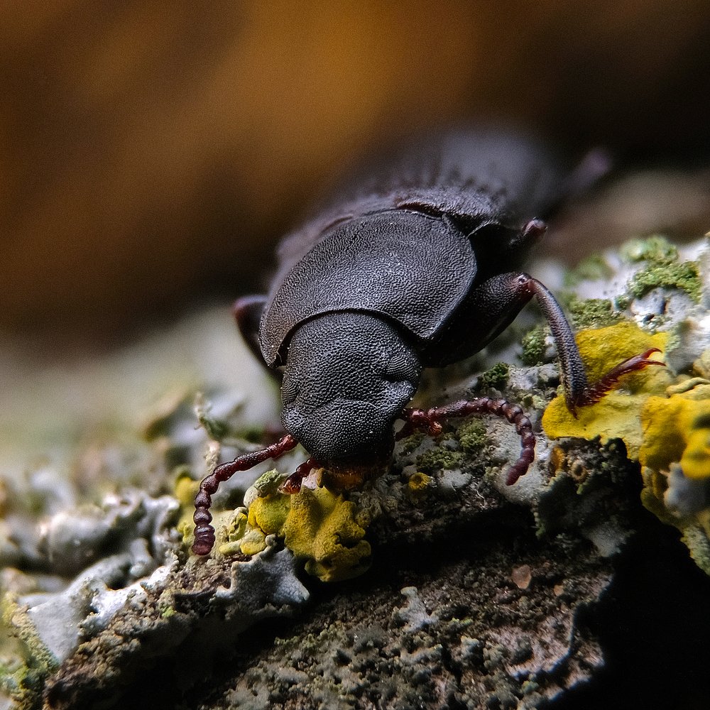 Photograph by Юрьевич Юрий