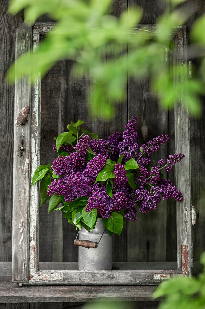 Photograph by Елена Корж