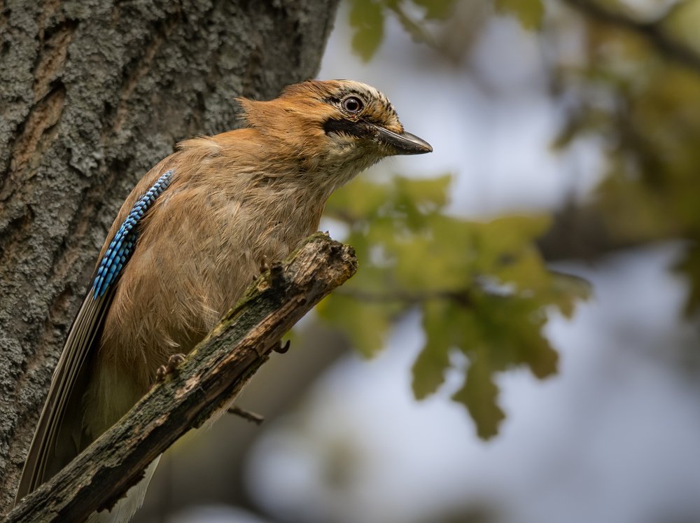 Photograph by Курлянцев Алексей