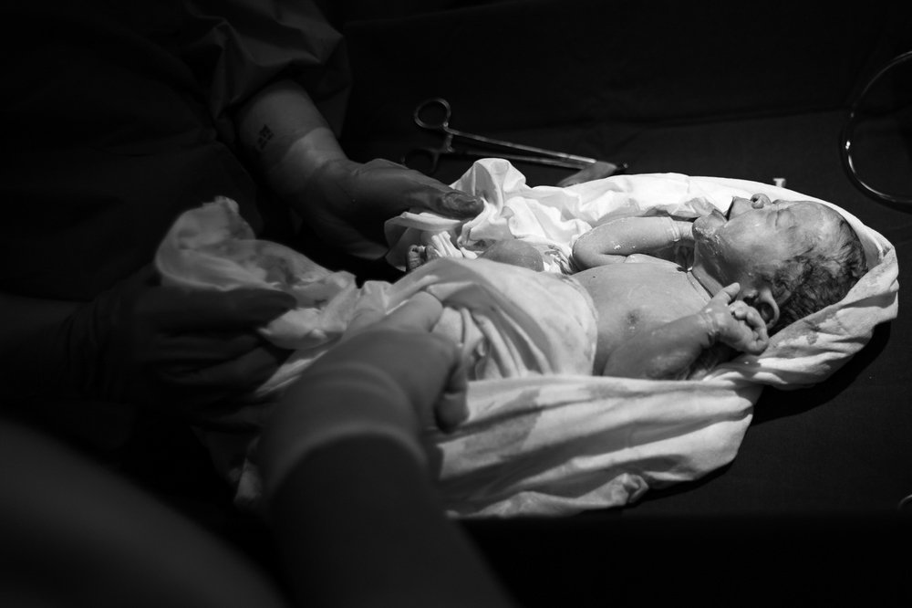 Фотография автора Meg Leite