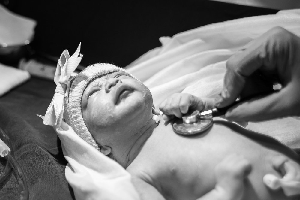 Фотография автора Meg Leite